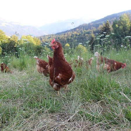 Appartement Stallfeldhof Hopfgarten im Brixental Bagian luar foto